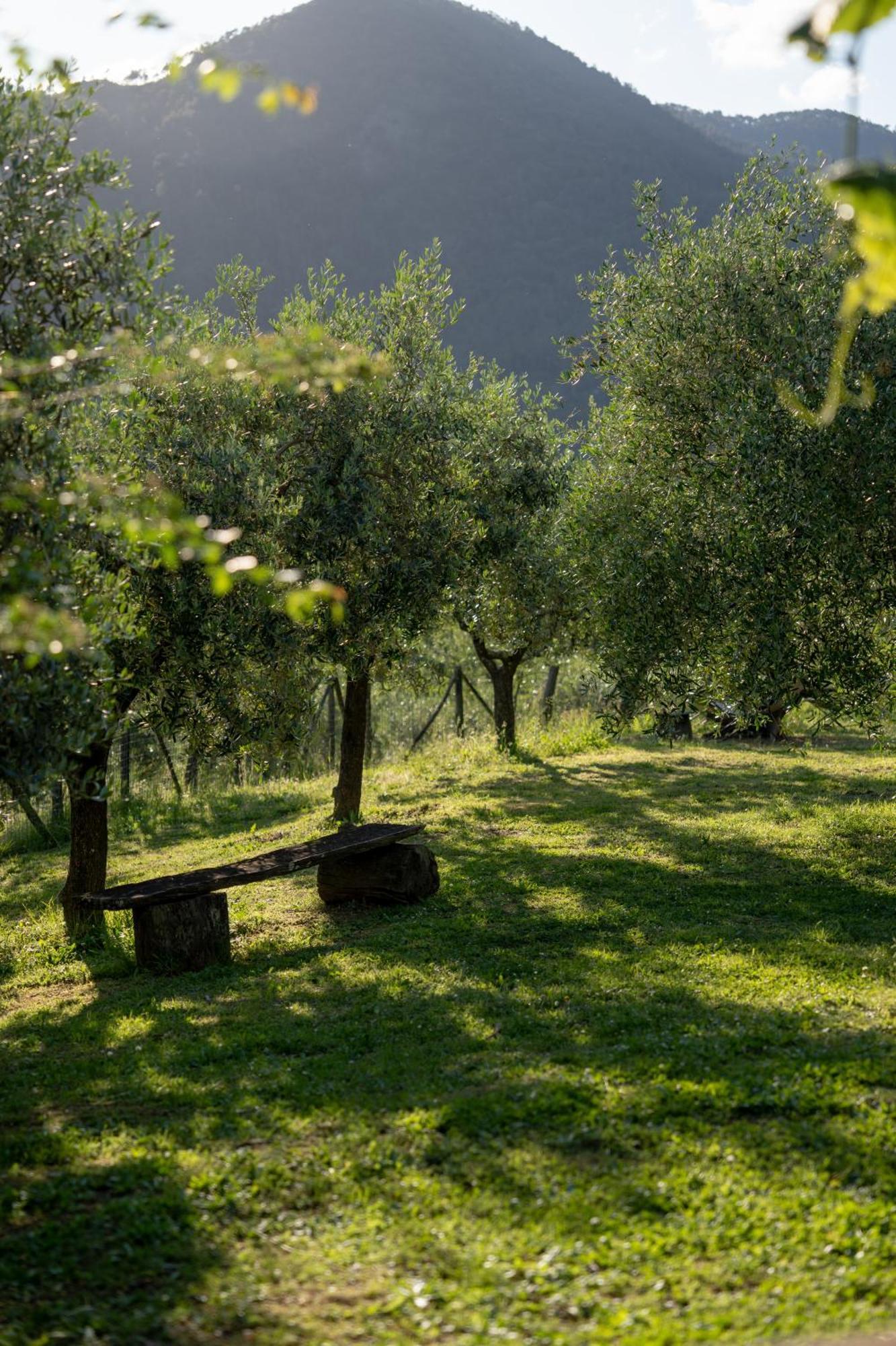 Villa I due Ghiri Calice al Cornoviglio Esterno foto